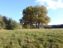20201024_155108.jpg