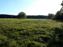 20201024_155117.jpg