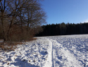 20201229_103442.jpg