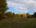 20201024_150320.jpg
