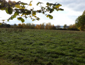 20201024_150740.jpg