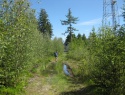 Tremsin_2014_036.JPG