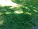 Tremsin_2014_052.jpg