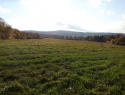 20201024_160554.jpg