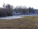 20201124_135911.jpg