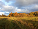 20201027_160547.jpg