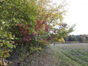20201024_150453.jpg
