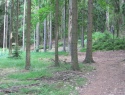 Tremsin_2014_025.JPG