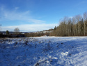 20201229_103353.jpg