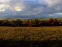 20201027_160927.jpg