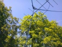 Tremsin_2014_062.jpg