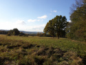 20201024_154626.jpg