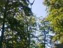 Tremsin_2014_060.jpg
