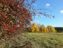 20201024_160257.jpg