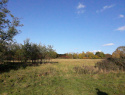 20201024_155537.jpg