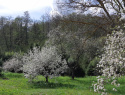 20200501_155522.jpg