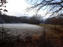 20201124_135033.jpg